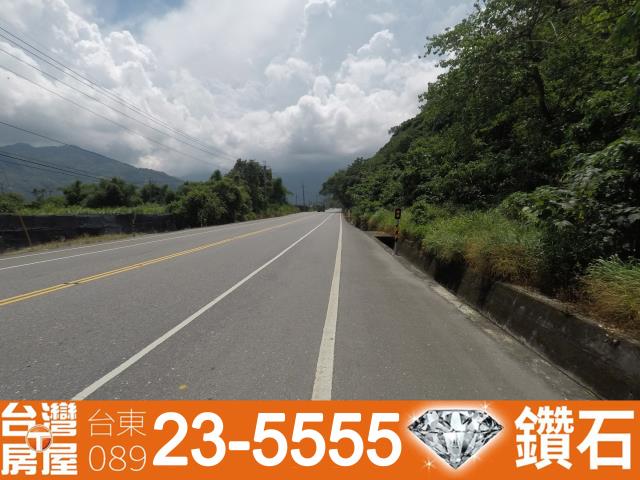 台東鹿野農地-14