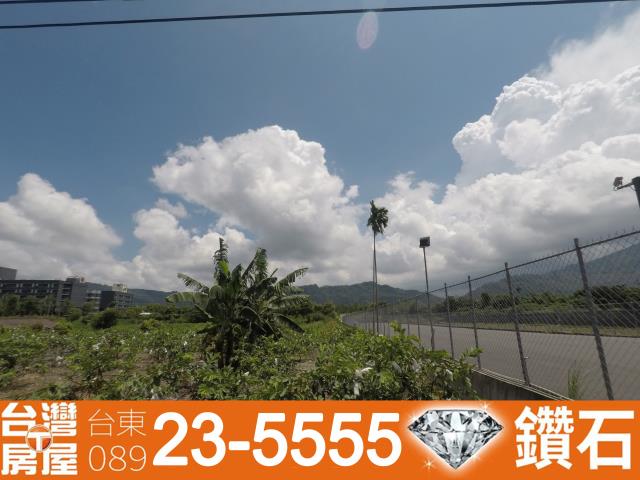 台東鹿野農地-2