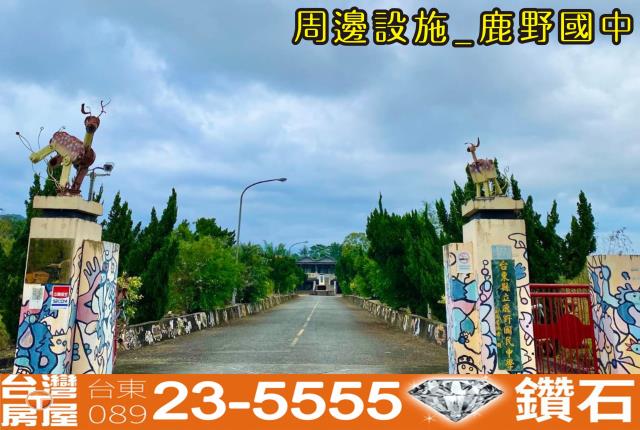 台東鹿野農地-5