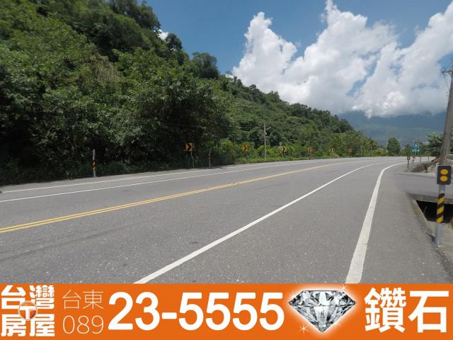 台東鹿野農地-8