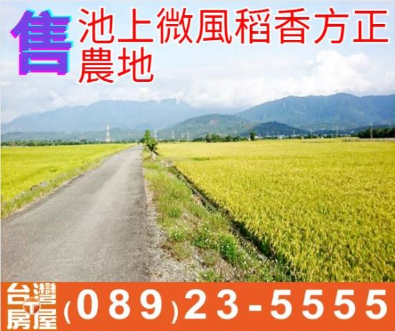 池上微風稻香方正農地