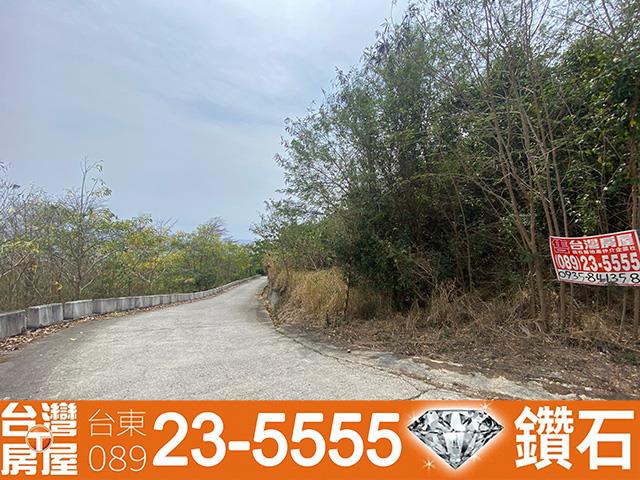 卑南農地-8