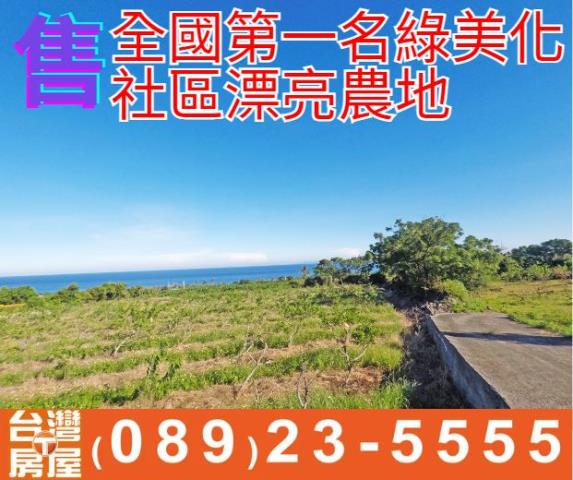 全國第一名綠美化社區