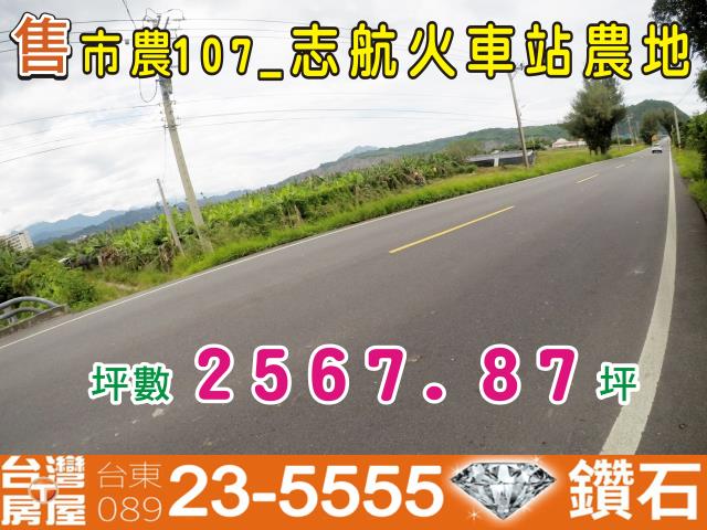 台東台東市農地-1