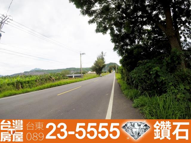 台東台東市農地-6