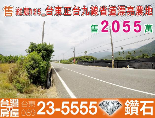 台東卑南農地-1