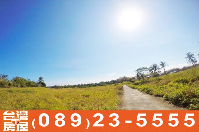 台東農地