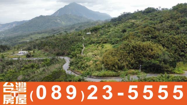 台東卑南農地-7