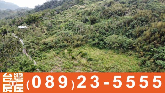 台東卑南農地-8