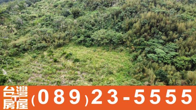 台東卑南農地-9