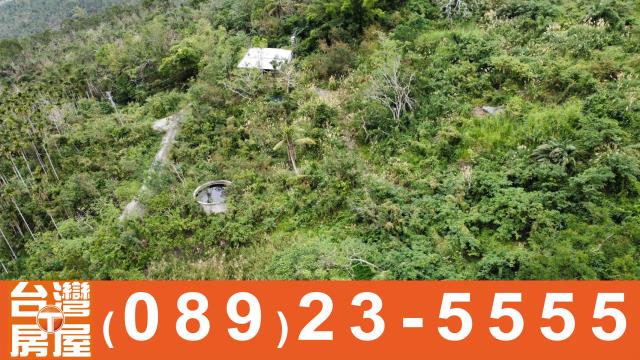 台東卑南農地-10