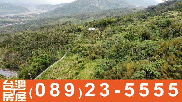 台東卑南農地-11