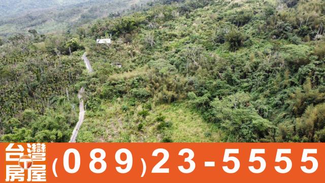 台東卑南農地-12