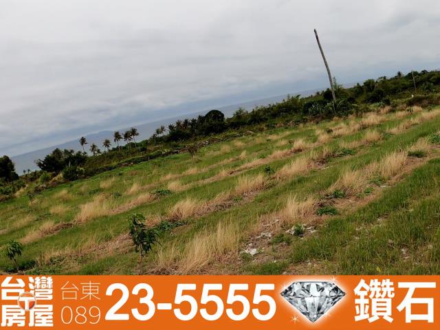 台東農地-9