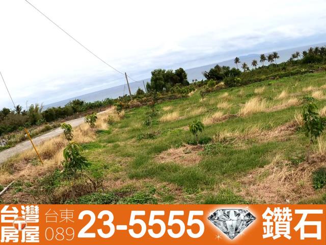台東農地-10