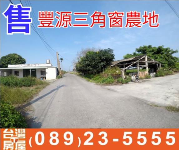 豐源三角窗農地