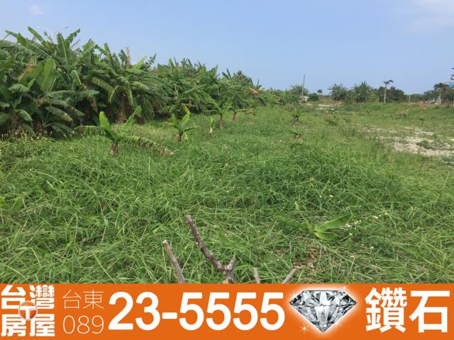 台東農地-11