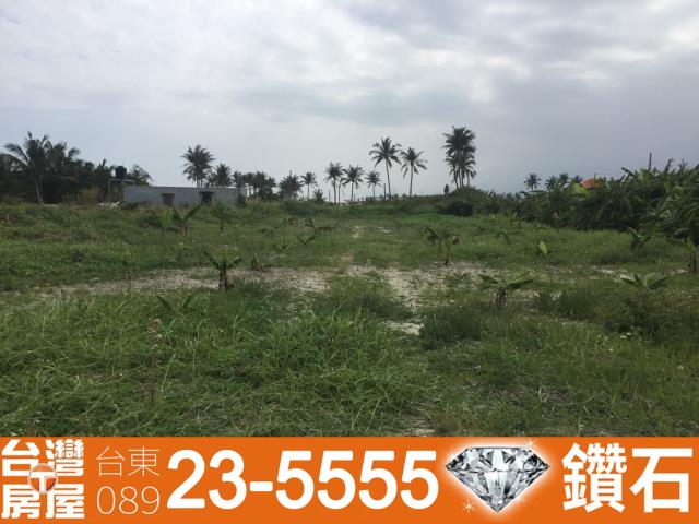 台東農地-8