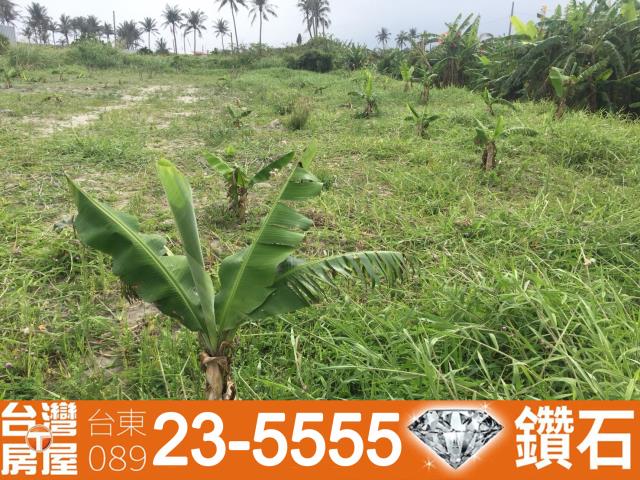 台東農地-9