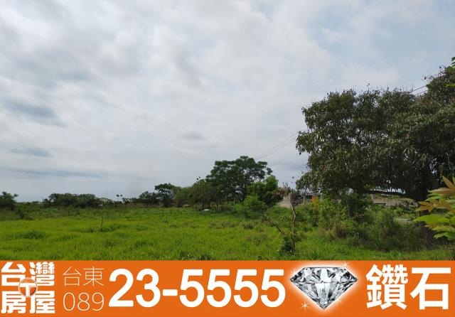 台東房屋仲介公司