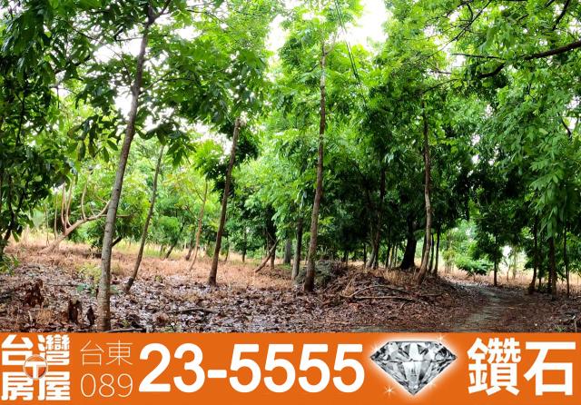 台東東河農地-6