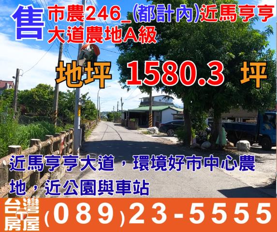 台東台東市農地-1