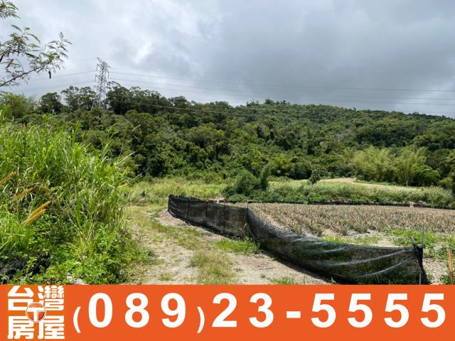 台東土地買賣