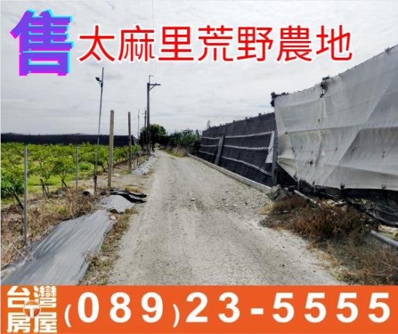 太麻里荒野農地