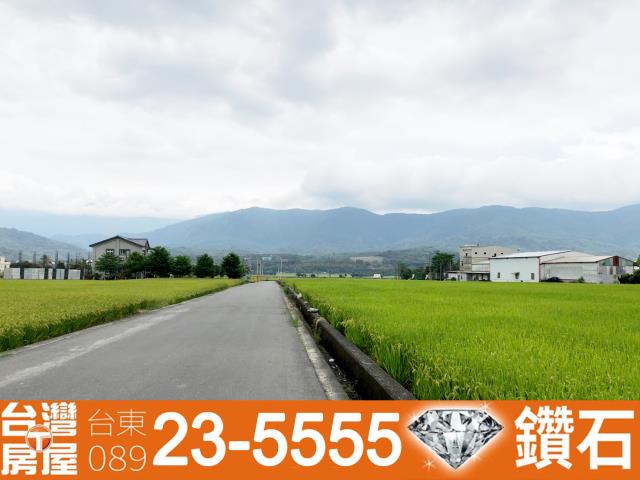 台東池上農地-10