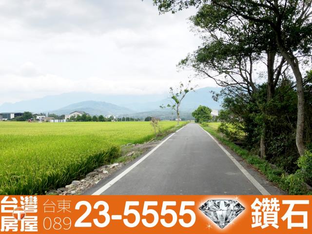 台東池上農地-2