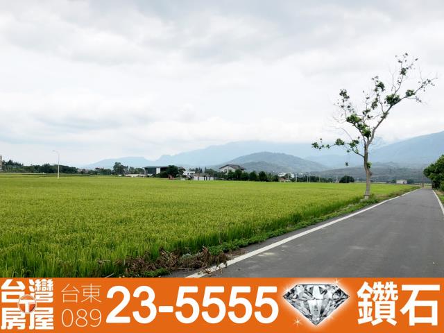 台東池上農地-3