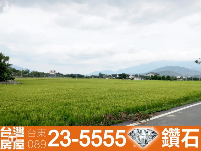 台東池上農地-4