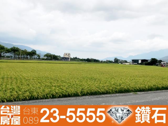 台東池上農地-5