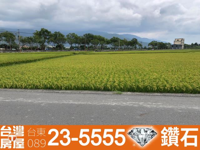 台東池上農地-6
