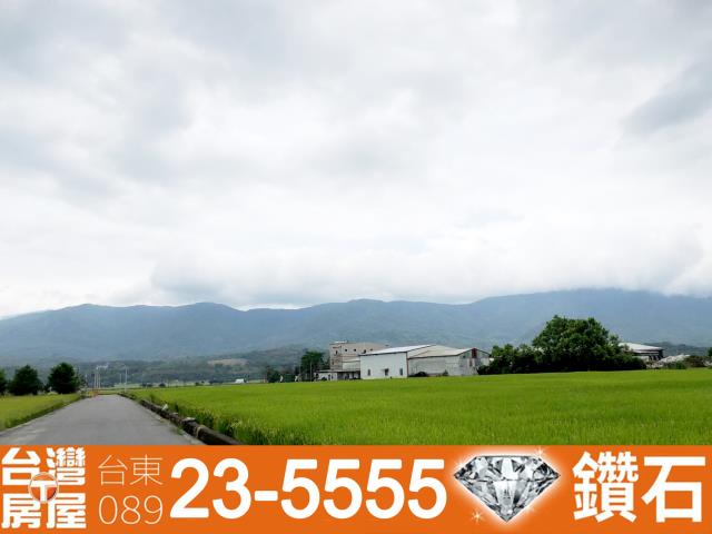 台東池上農地-7