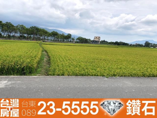 台東池上農地-8