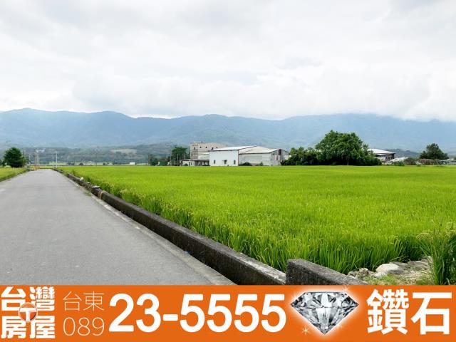 台東池上農地-9