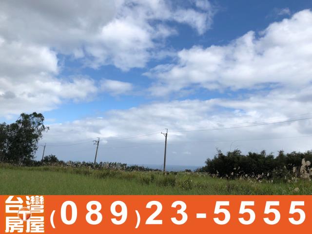 鑽石台東房地產買賣