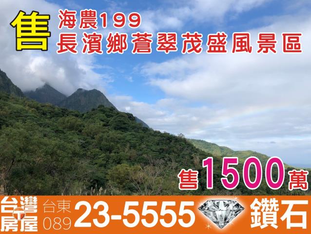 台東長濱農地-1