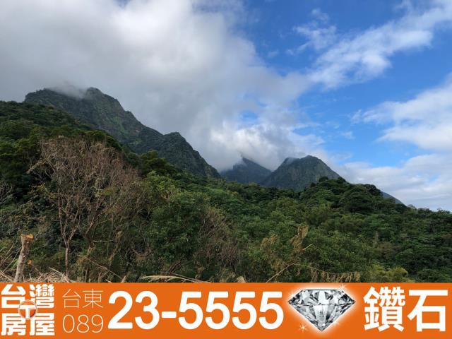 台東長濱農地-6