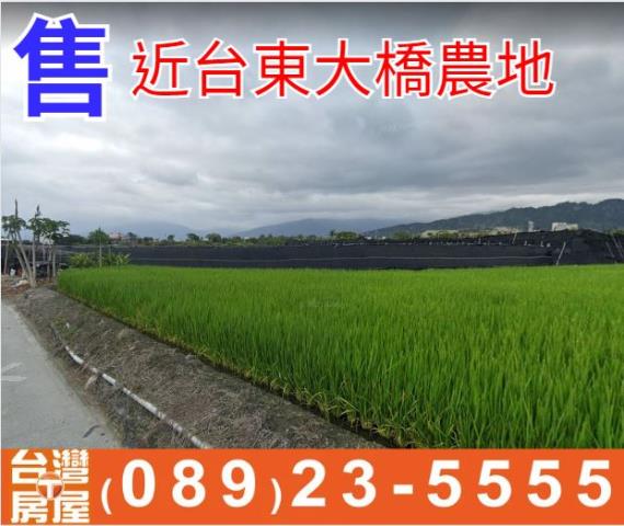 台東台東市農地-1