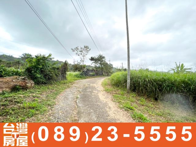 卑南農地-10