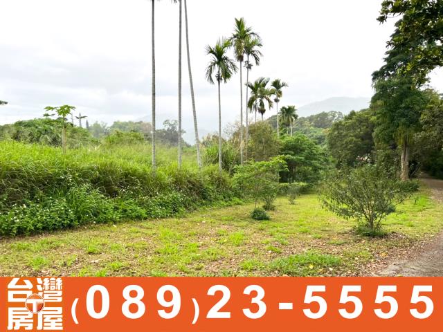 卑南農地-2