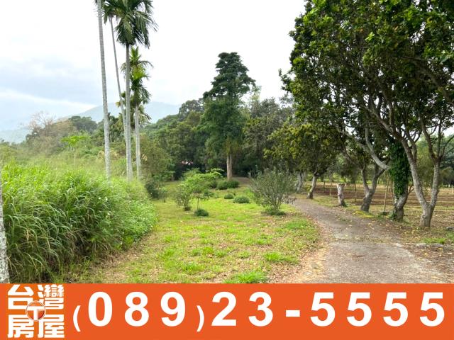 卑南農地-3