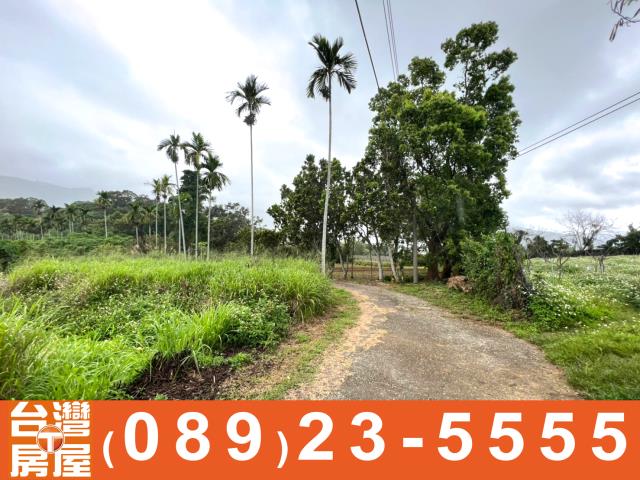 卑南農地-4