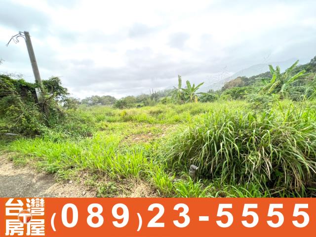 卑南農地-5