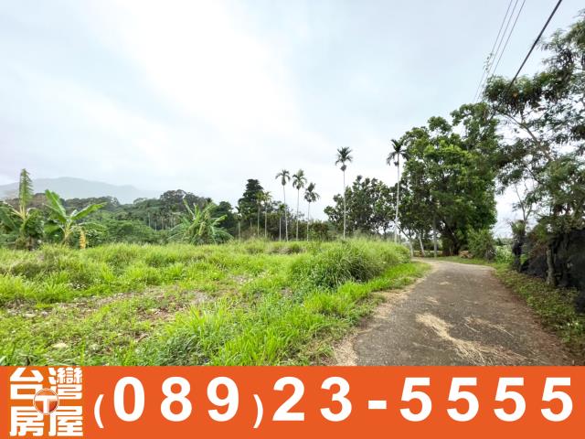 卑南農地-6