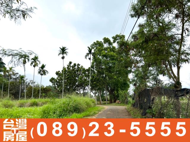 卑南農地-7