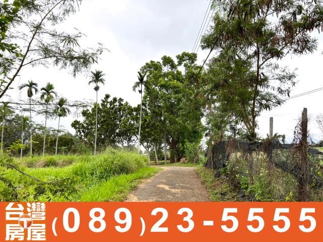卑南農地-8
