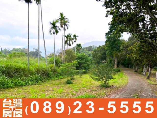 卑南農地-9